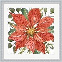 Framed 'Red Poinsettia' border=