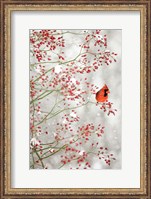 Framed Red Cardinal in the Red Berries