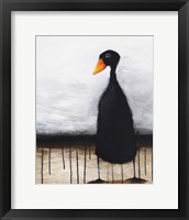 Framed Black Duck