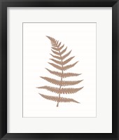 Fern 2 Framed Print