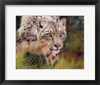Framed Snow Leopard 4