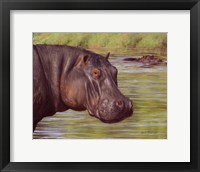 Framed Hippo