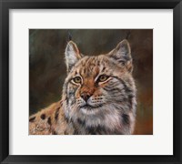Framed Eurasian Lynx