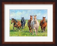 Framed Wild Horses