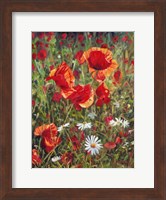 Framed Poppies