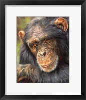 Framed Chimp The Thinker