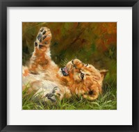 Framed Lion Cub 1012