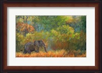 Framed Elephant Trees