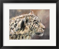 Framed Snow Leopard 86