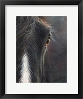 Framed Horse Portrait