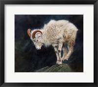 Framed Mountain Goat