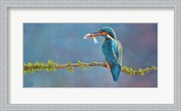 Framed Kingfisher 3