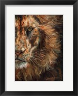 Framed Lion Half Face