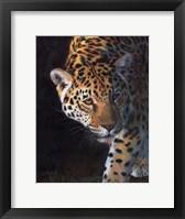 Framed Jaguar Portrait 2