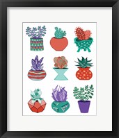 Framed Succulents