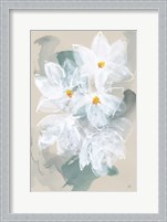 Framed Narcissus I