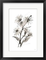 Daisy I Framed Print