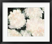 Framed 'Blushing Summer I on Black' border=