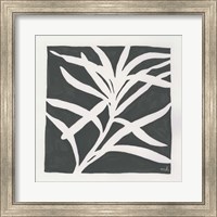 Framed 'Growing Gray' border=