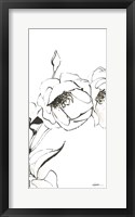 Framed Sketch of Roses Panel III