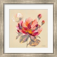 Framed 'Blooming Peony I' border=