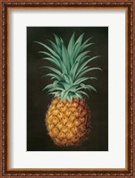 Framed Vintage Pineapple II