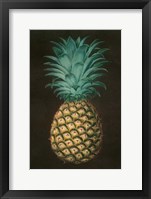 Framed Vintage Pineapple I