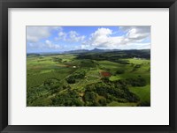 Framed Wailua River State Park, Kauai, Hawaii