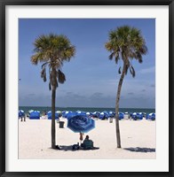 Framed Umbrella, Chairs and Palm Trees