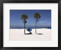 Framed Umbrella, Chairs and Palm Trees on Clearwater Beach, Florida