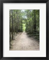 Framed Catawba Falls Trailhead, Asheville, North Carolina