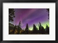 Framed Unusual STEVE Auroral Arc Across the Northern Sky at Bow LakeAlberta