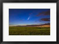 Framed Comet NEOWISE Over a Ripening Canola Field