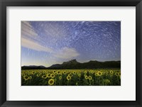 Framed Star Trails Among the Passing Clouds Above a Sunflower Filed Near Bangkok, Thailand