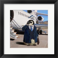 Framed VIP - Very Important Penguin