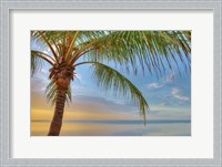 Framed Key West