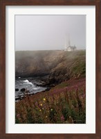 Framed Coastal Fog IV