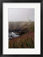 Framed Coastal Fog IV