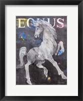 Framed Equus Stallion