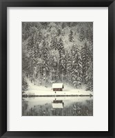 Framed Cabin in the Woods