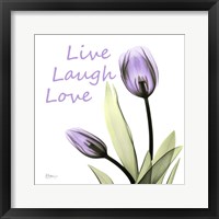 Framed Live Laugh Love