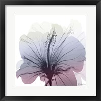 Framed Tasty Grape Hibiscus