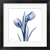 Framed Tulips Indigo