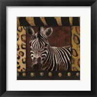 Framed Zebra bordered