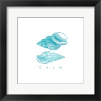 Calm Shells Framed Print