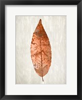 Copper Leaves 1 Framed Print