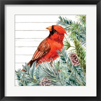 Winter Birds 2 Framed Print