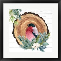 Winter Birds 3 Framed Print