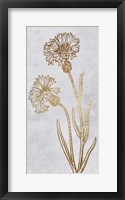 Golden Reach Framed Print