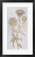 Golden Reach 2 Framed Print